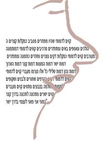 וולך פרופיל - 2