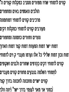 קווים לדמותי