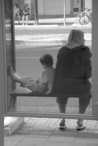 מידד גוטליב (6)