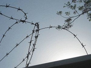  מידד גוטליב - חומות של תקווה ושל יאוש