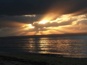 אריה רובינוביץ - קסמו של הטבע - 2 - צילום