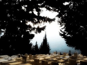 - מייד גוטליב - ScreenHunter_07 Apr. 09 19.54.gif