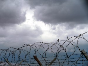 נורית צדרבוים - מהשמיים ומטה (4)