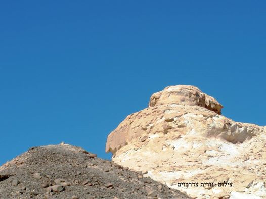 שיר - ציפי הראל, צילום - נורית צדרבוים