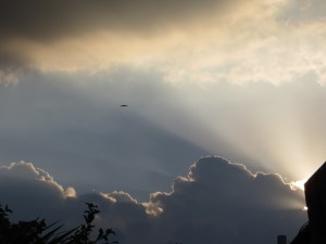 ענת גרי לקריף