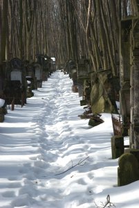 מידד גוטליב - עקבות של אידה פינק