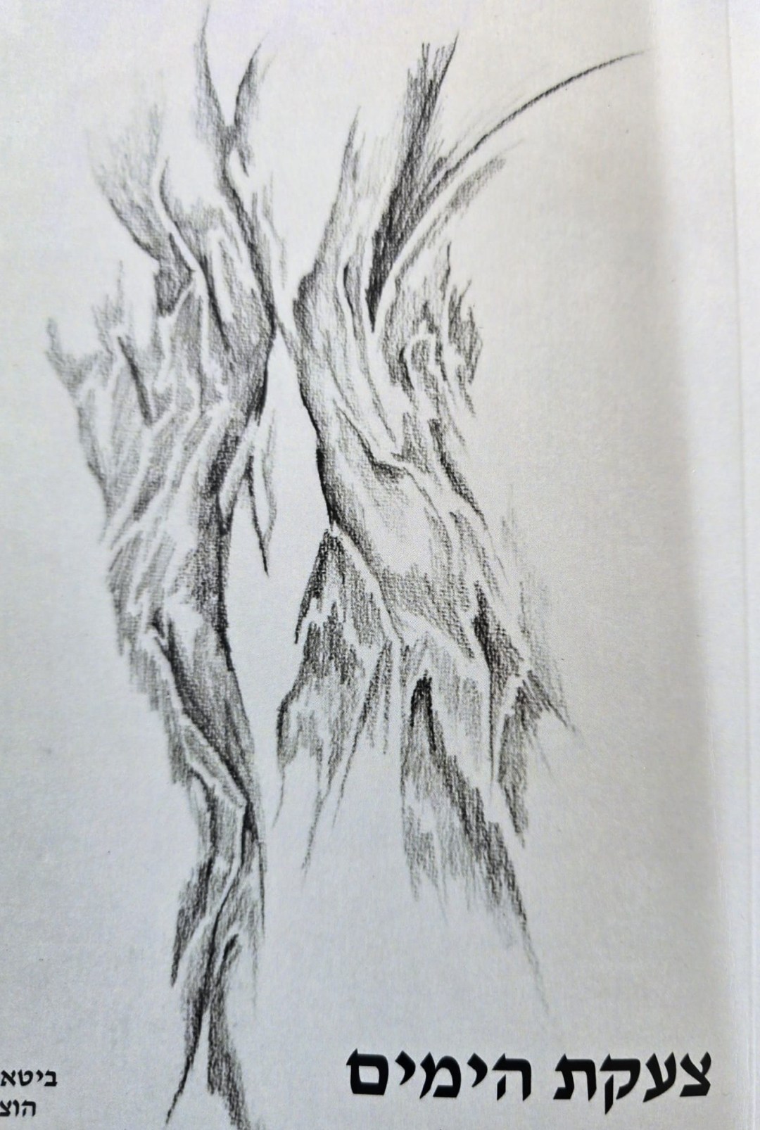 ספר הביכורים - שירה - של חגי רטנר